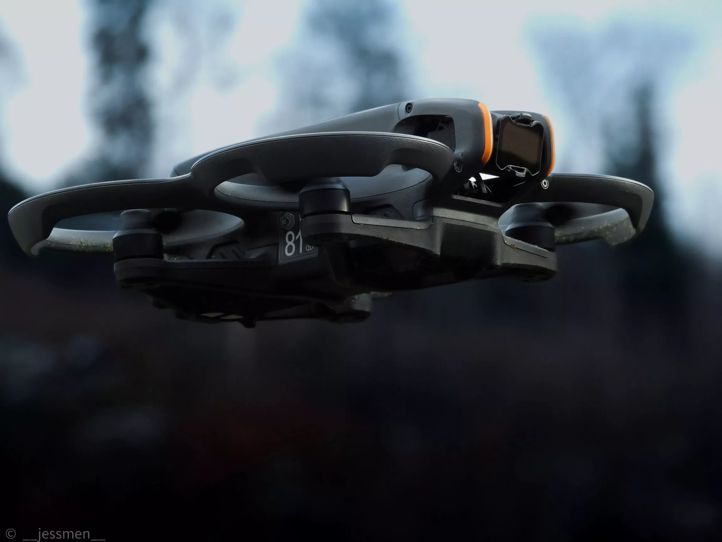 Dji Avata 2 Dachkontrolle Dji Avata 2 Dachkontrolle